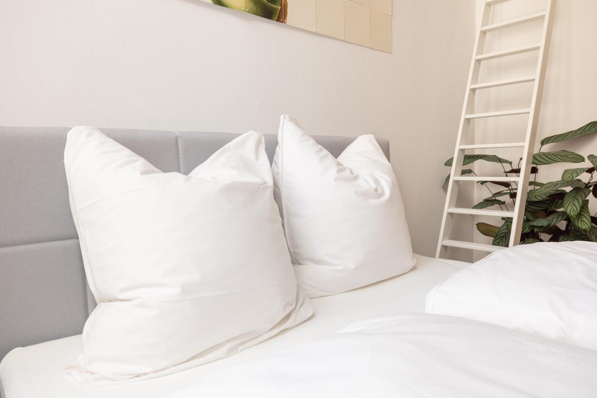 Great 2-room Loft With 2 Bathrooms And 2 Kitchen Appartement *